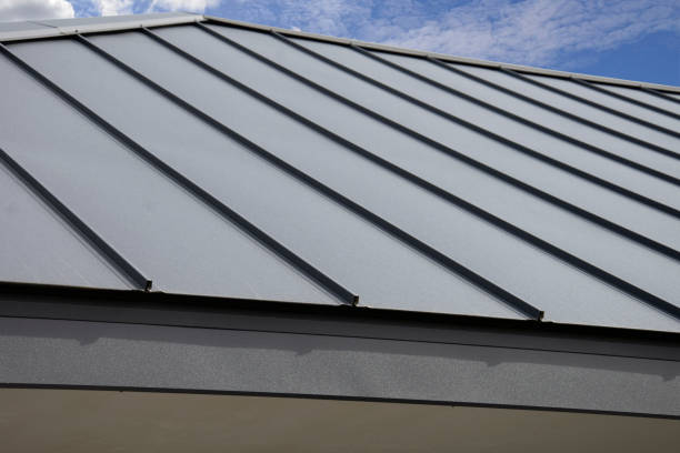 Best Green or Eco-Friendly Roofing Solutions  in Dash Point, WA